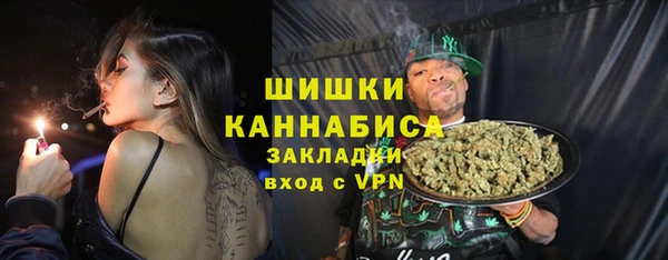 МДПВ Богородицк